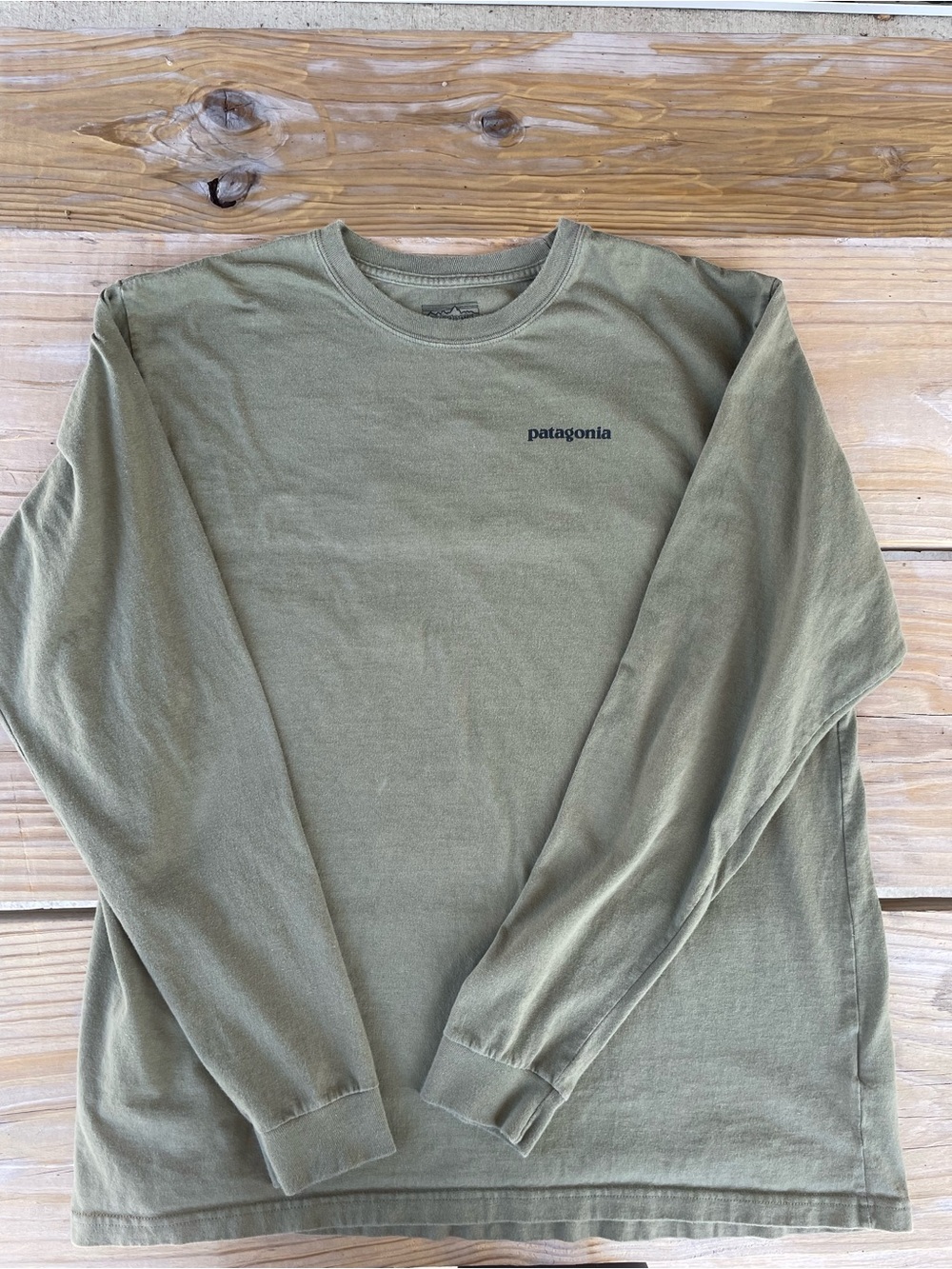 Patagonia Olive Green Long-Sleeve Crew Tee